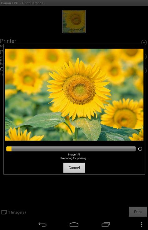 Download Canon Easy-PhotoPrint Editor